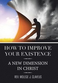bokomslag How to Improve Your Existence