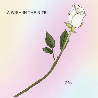 A Wish in the Nite 1