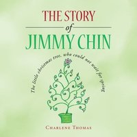 bokomslag Story of Jimmy Chin