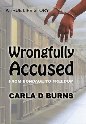 Wrongfully Accused 1