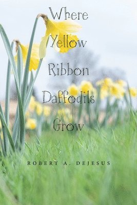 bokomslag Where Yellow Ribbon Daffodils Grow