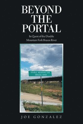 bokomslag Beyond the Portal