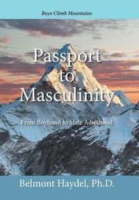 bokomslag Passport to Masculinity