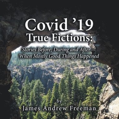 bokomslag Covid '19 True Fictions