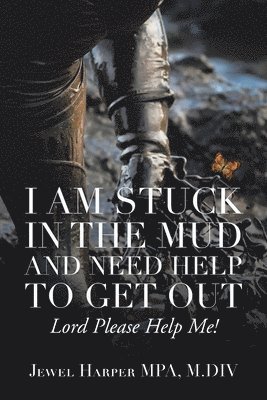 I Am Stuck in the Mud and Need Help to Get Out 1