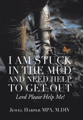 I Am Stuck in the Mud and Need Help to Get Out 1