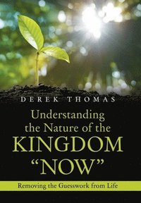 bokomslag Understanding the Nature of the Kingdom &quot;Now&quot;