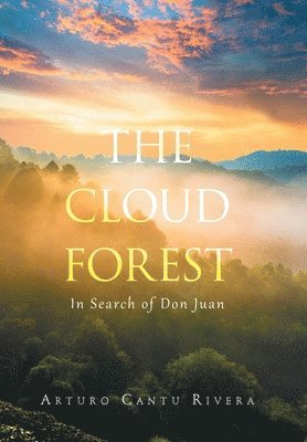 The Cloud Forest 1