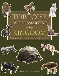 bokomslag Tortoise as the Smartest in His Kingdom