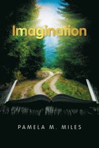 bokomslag Imagination