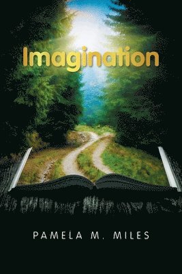 bokomslag Imagination