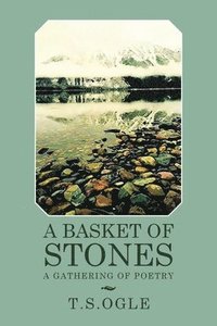 bokomslag Basket of Stones