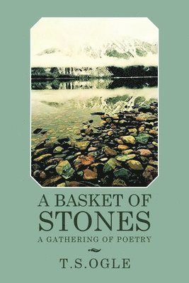 bokomslag Basket of Stones