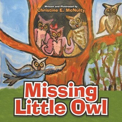 Missing Little Owl 1
