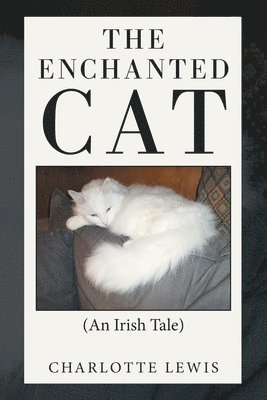 The Enchanted Cat 1