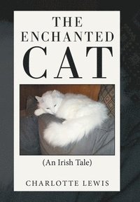 bokomslag The Enchanted Cat
