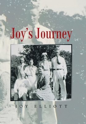 bokomslag Joy's Journey