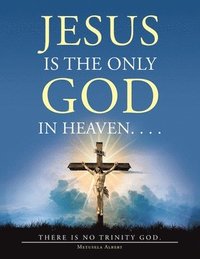 bokomslag Jesus Is the Only God in Heaven. . . . There Is No Trinity God.