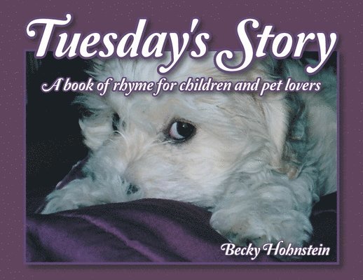 Tuesday's Story 1