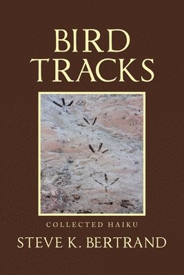 Bird Tracks 1