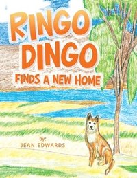 bokomslag Ringo Dingo Finds a New Home