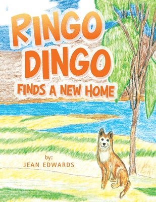 Jean Edwards - Ringo Dingo Finds a New Home, Häftad