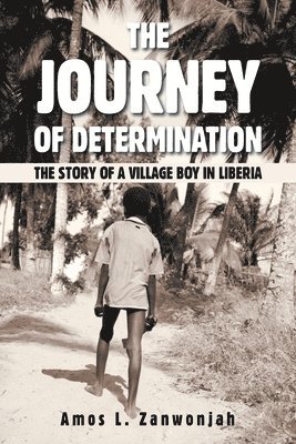 bokomslag Journey of Determination