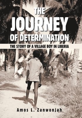 bokomslag Journey of Determination