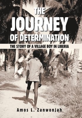 The Journey of Determination 1