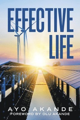 Effective Life 1