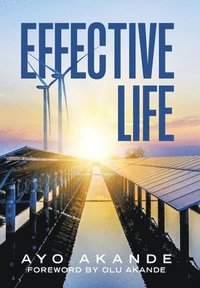 bokomslag Effective Life