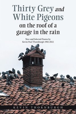 bokomslag Thirty Grey and White Pigeons on the Roof of a Garage in the Rain