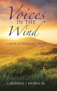 bokomslag Voices in the Wind