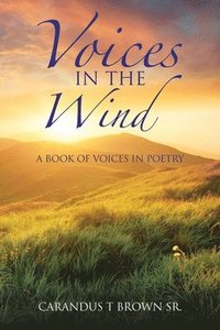 bokomslag Voices in the Wind