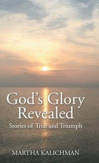 bokomslag God's Glory Revealed