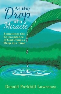 bokomslag At the Drop of a Miracle