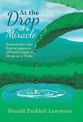 bokomslag At the Drop of a Miracle