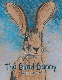 bokomslag The Blind Bunny