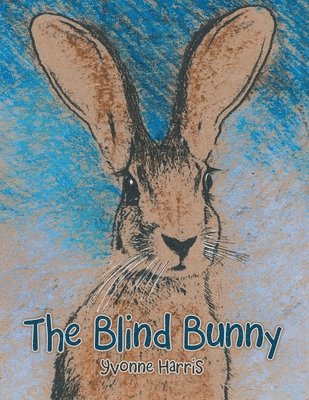 bokomslag The Blind Bunny