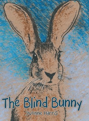 bokomslag The Blind Bunny