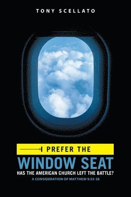 I Prefer the Window Seat 1