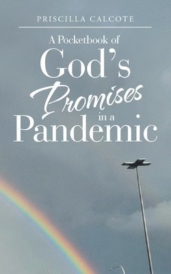 bokomslag A Pocketbook of God's Promises in a Pandemic