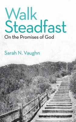 bokomslag Walk Steadfast
