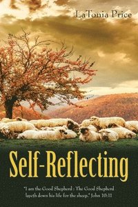 bokomslag Self-Reflecting