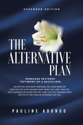 The Alternative Plan 1