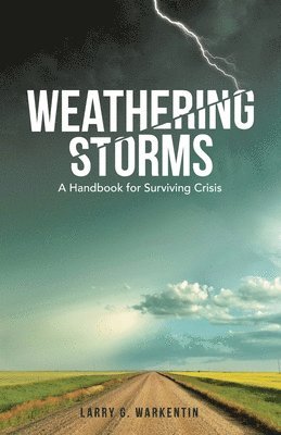 bokomslag Weathering Storms