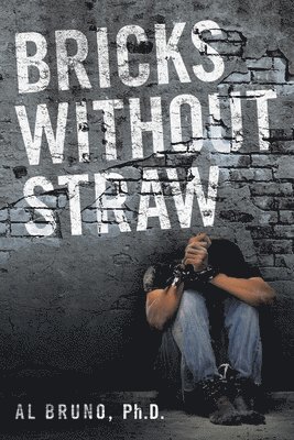 Bricks Without Straw 1