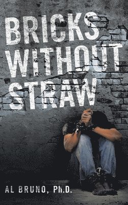 Bricks Without Straw 1