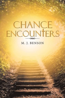 Chance Encounters 1