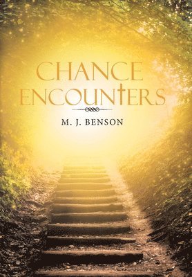 Chance Encounters 1